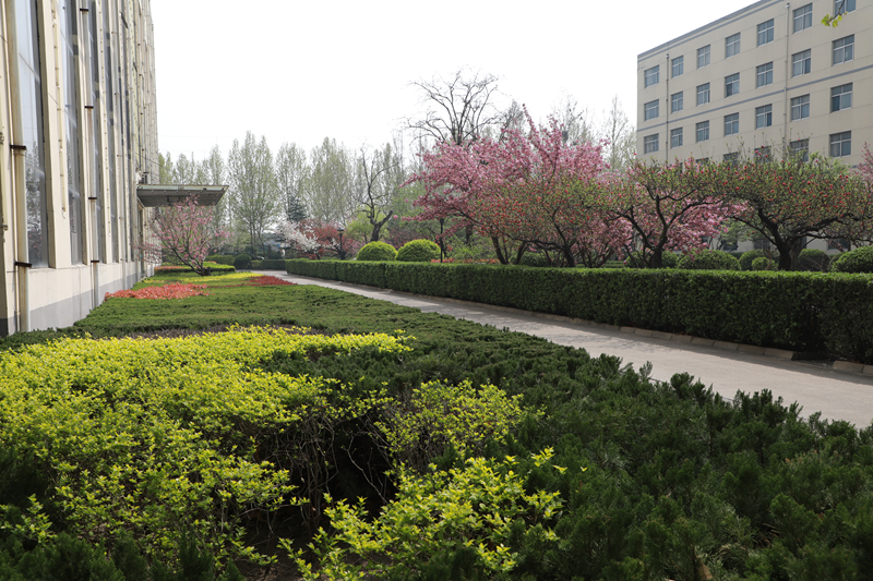 4H6A2654_副本.jpg