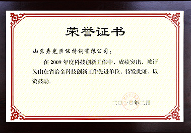 山東省冶金科技創新先進單位