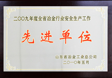 山東省冶金行業安全生產工作先進單位