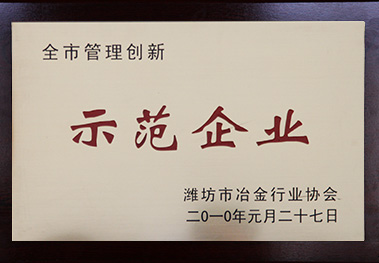 濰坊市管理創新示范企業
