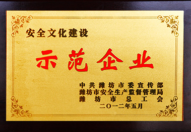 濰坊市安全文化建設示范企業