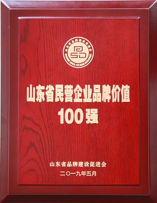 山東省民營企業品牌價值100強