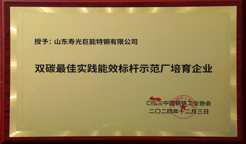 雙碳最佳實踐能效標桿示范廠培育企業